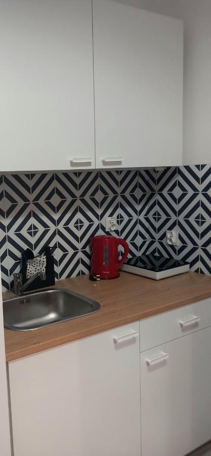 Hola Apartamenty Narutowicza Łódź Kültér fotó